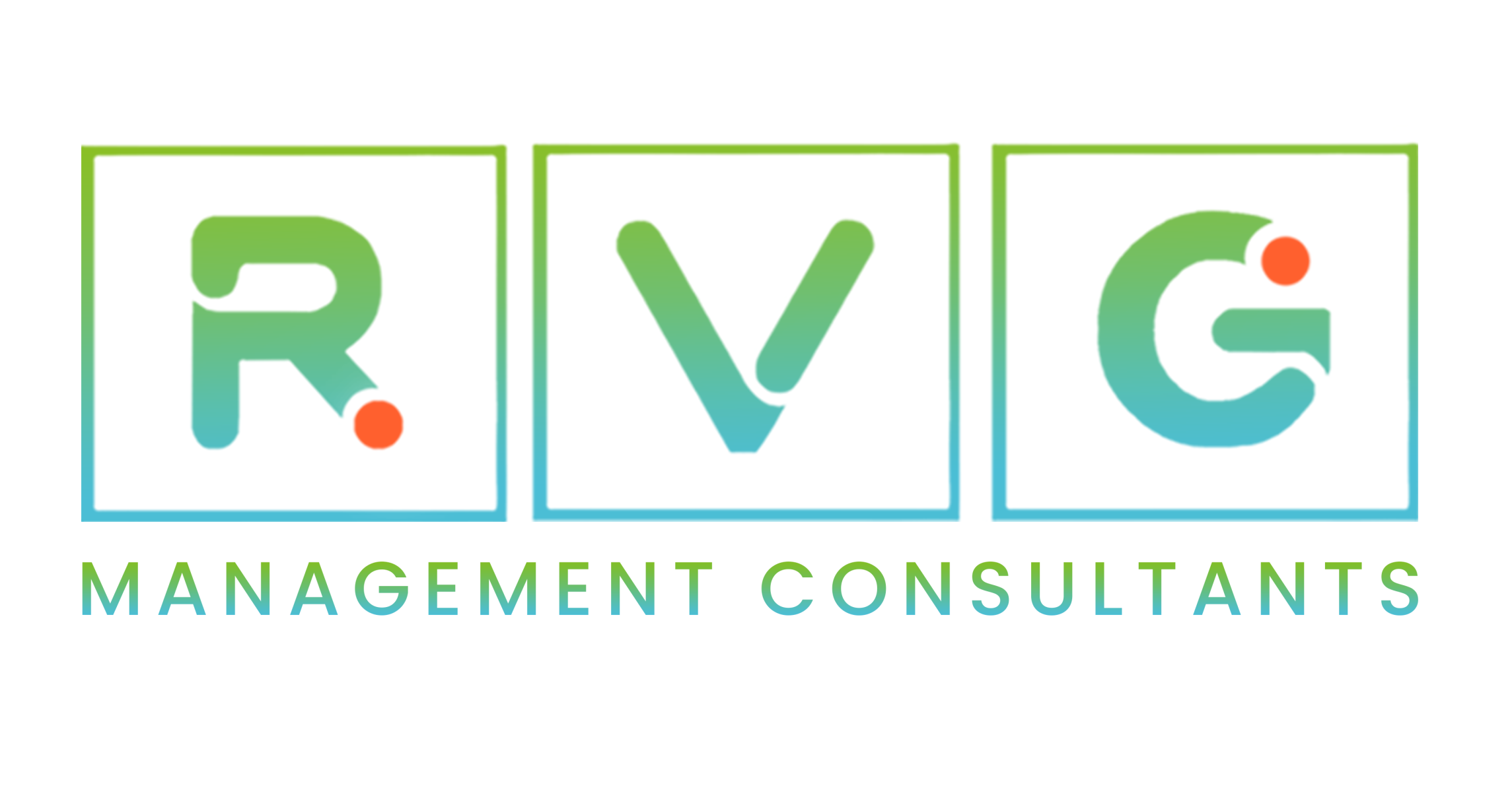 Business Setup and PRO Services