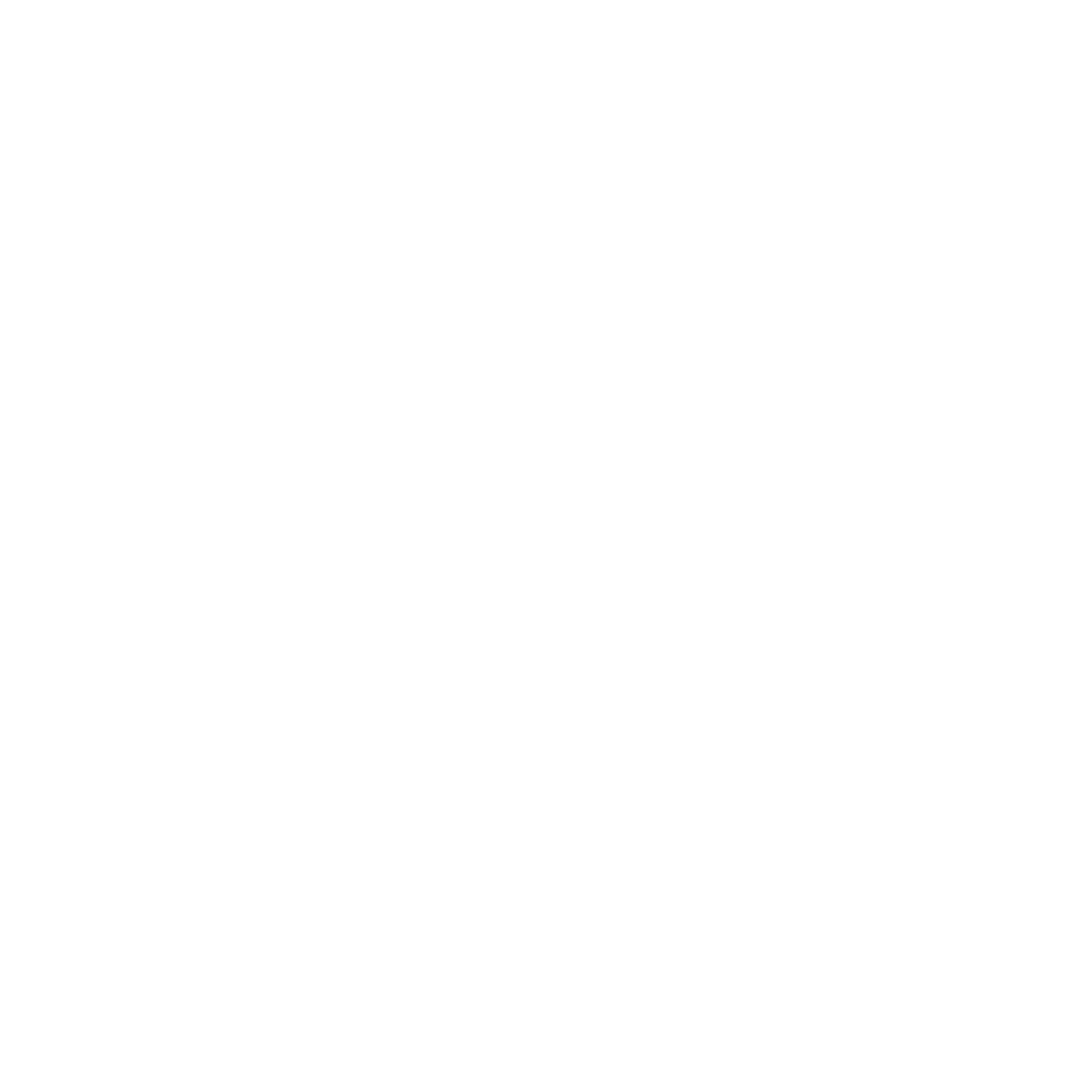 logo rvg